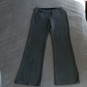 Expres Dress Pants